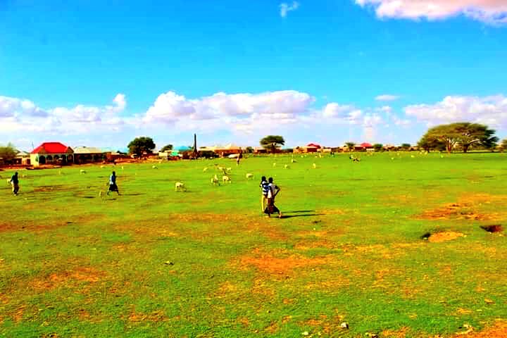 Baligubadle, Somaliland