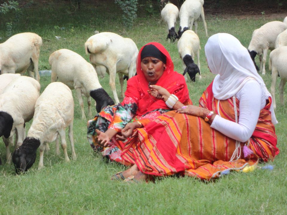 somaliland culture (2)