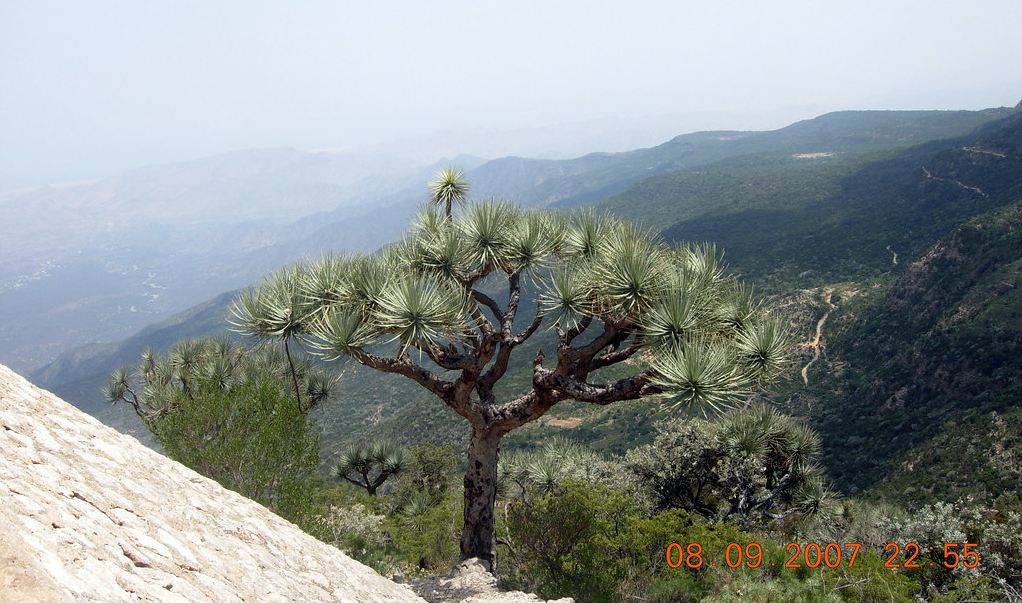 Daallo, Erigavo Somaliland